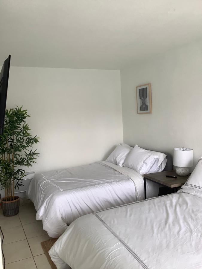 Hotel Motel Lauderdale Inn Fort Lauderdale Zewnętrze zdjęcie